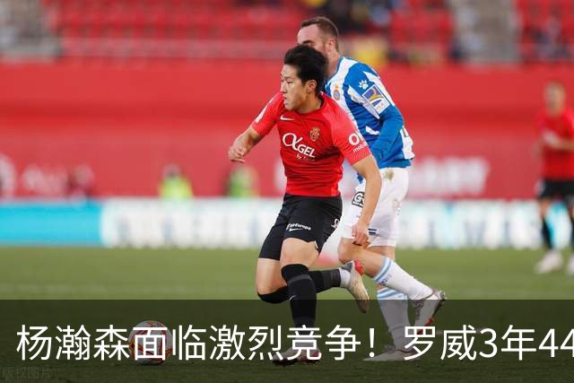 杨瀚森面临激烈竞争！罗威3年4400万美元续约开拓者